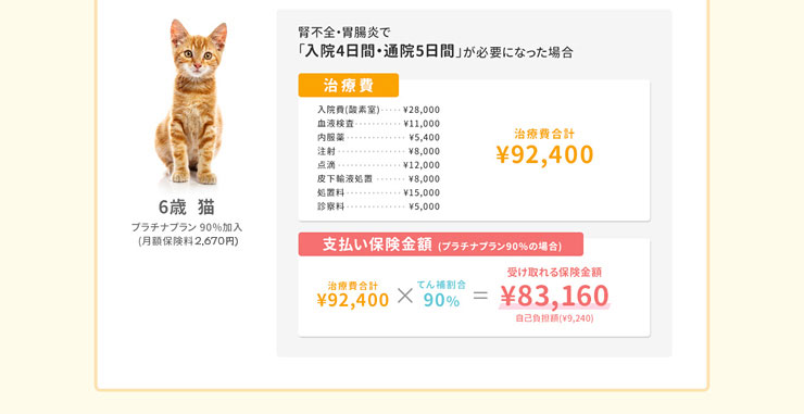プラチナプラン(90％) 6歳 猫 治療費 支払い保険金額例
