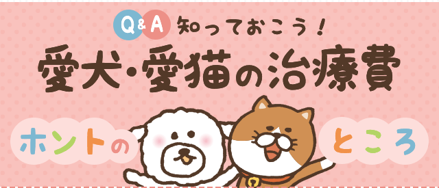 Q&A知っておこう！愛犬・愛猫の治療費 ホントのところ