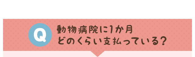 Q 動物病院に1か月どのくらい支払っている？