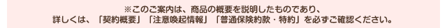 ※このご案内は、商品の概要を説明したものであり、詳しくは、「契約概要」「注意喚起情報」「普通保険約款・特約」を必ずご確認ください。