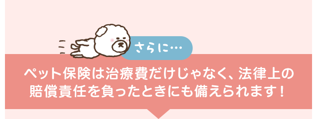 さらにペット保険は治療費だけじゃなく、法律上の賠償責任を負ったときにも備えられます！