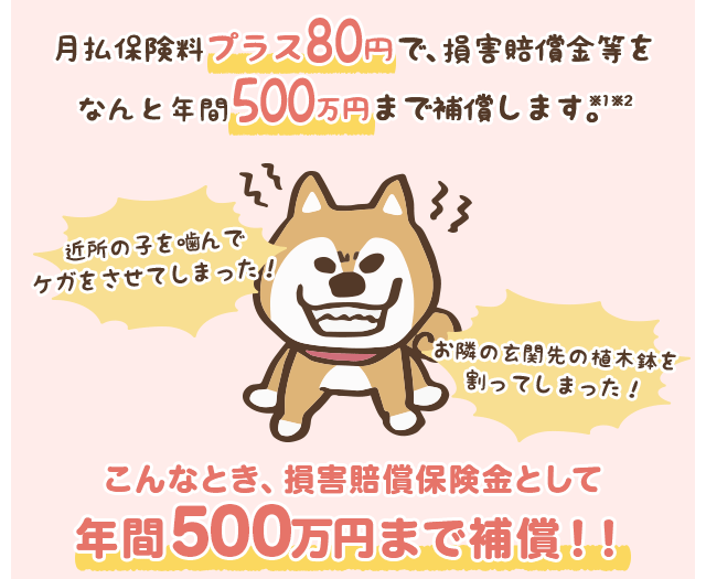 月払保険料プラス80円で、損害賠償金等をなんと年間500万円まで補償します。※1※2 近所の子を噛んでケガをさせてしまった！お隣の玄関先の植木鉢を 割ってしまった！こんなとき、損害賠償保険金として年間500万円まで補償！！