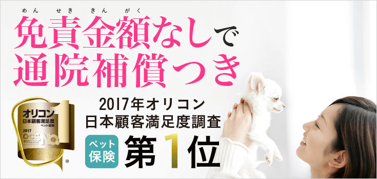 免責金額なしで通院補償つき 2017年オリコン日本顧客満足度調査ペット保険第1位