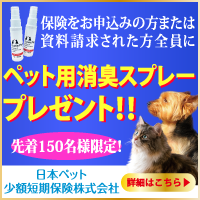 ペット保険の比較 見積り 最新ランキングと最安保険料で比較 保険の比較